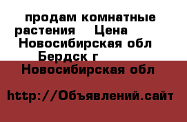 продам комнатные растения. › Цена ­ 100 - Новосибирская обл., Бердск г.  »    . Новосибирская обл.